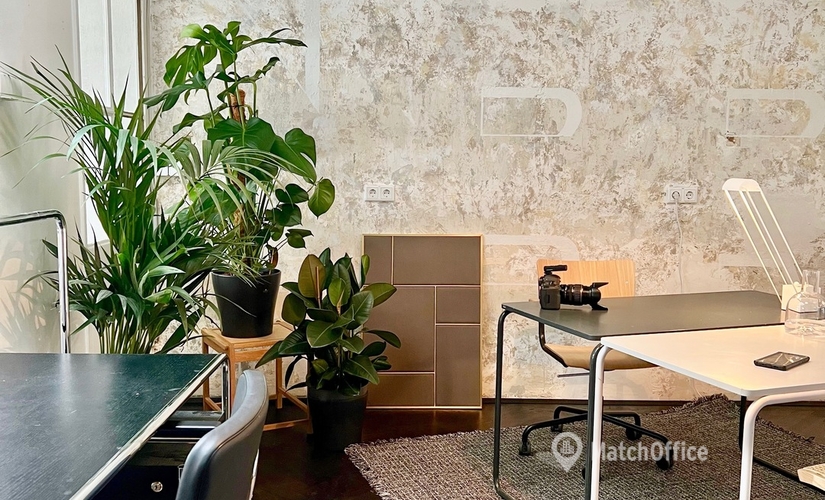 Coworking Space zu vermieten in Wien, Wipplingerstraße 25, 36 m², 3