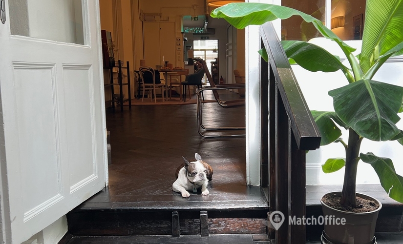 Coworking  zur Miete in Wien, Wipplingerstraße 25, 36 m², 4