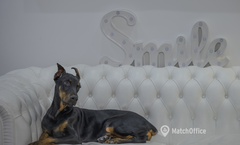 Coworking Space zu vermieten in Wien, Gymnasiumstraße 6, 50 m², 0