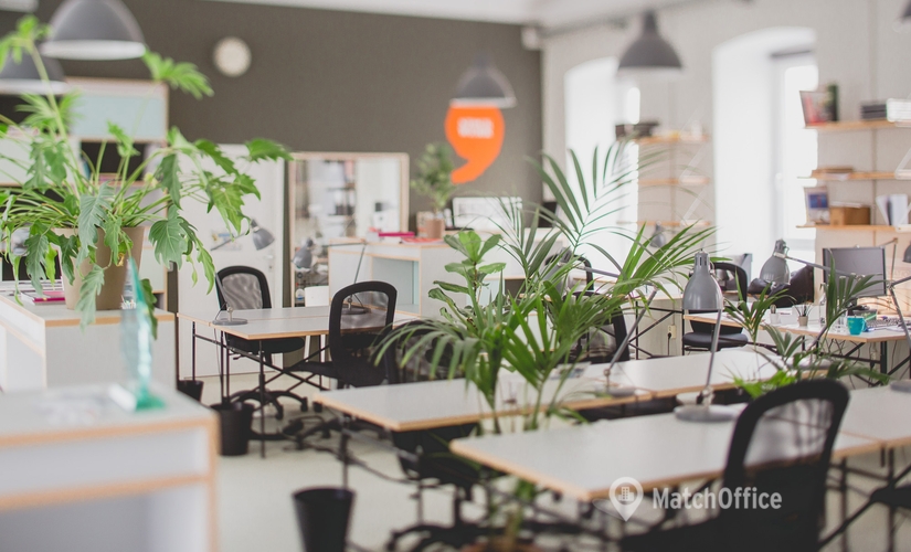  Virtuelles Büro  zur Miete in Wien, Pater-Schwartz-Gasse 11A, 30 m², 3