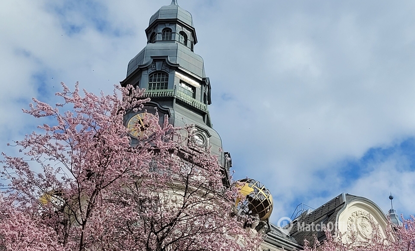 Virtual office space in Vienna, Löwengasse 47A (1030) - 0 | MatchOffice.com