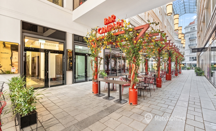 Coworking Space zu vermieten in Wien, Tuchlauben 7A, 30 m², 2