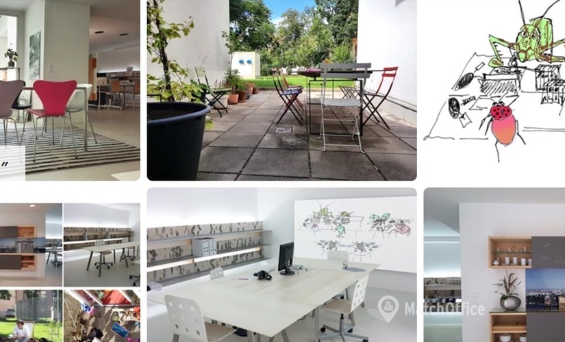 Büro zu vermieten in Wien, Alliiertenstraße 1, 60 m²