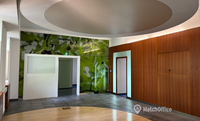 Office Schönbrunner Straße 13 1050 Vienna