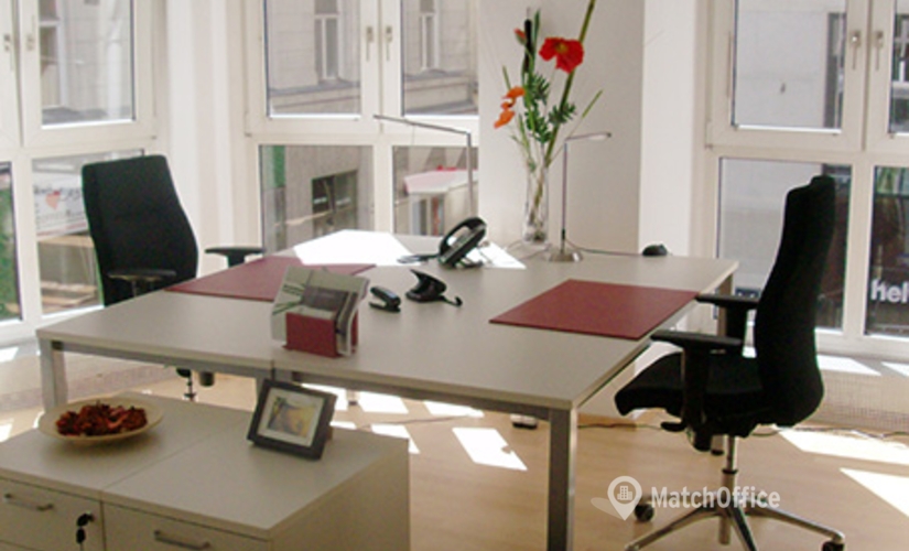 Business center Fischhof 3/6 1010 Wien