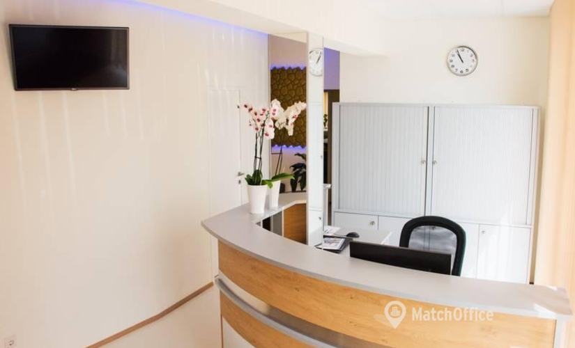 Business Center  zur Miete in Graz, Johann-Seifried-Ring 1, 24 m², 3