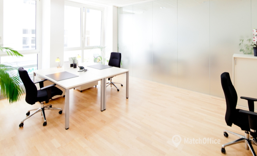 Business center Am Fischhof 3/6 1010 Vienna