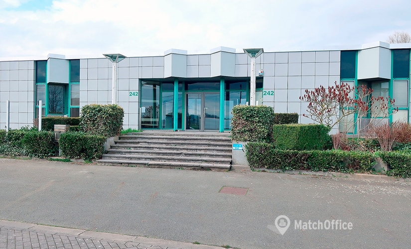 Bedrijventerrein te huur  Edingen, Chaussée d'Ath 242, 1200 m², - 0 | MatchOffice.be