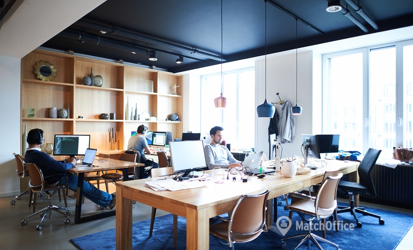 Сentre d'affaires à louer à Ixelles, Avenue Louise 54, 2600 m², - 5 | MatchOffice.be