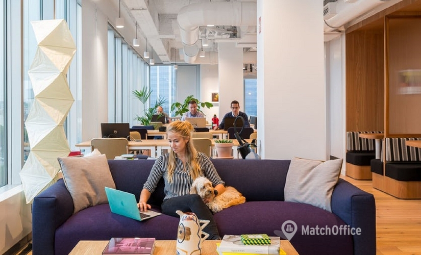 Coworking te huur  Sint-Joost-ten-Node, 4 Sint-Lazaruslaan, 150 m², - 0 | MatchOffice.be