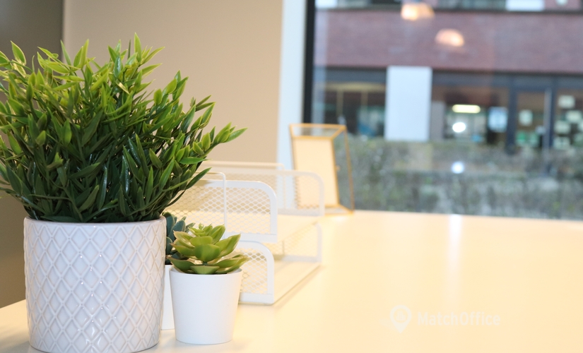 Parc d'affaires à louer à Louvain, Engels Plein 35, 40 m², - 1 | MatchOffice.be