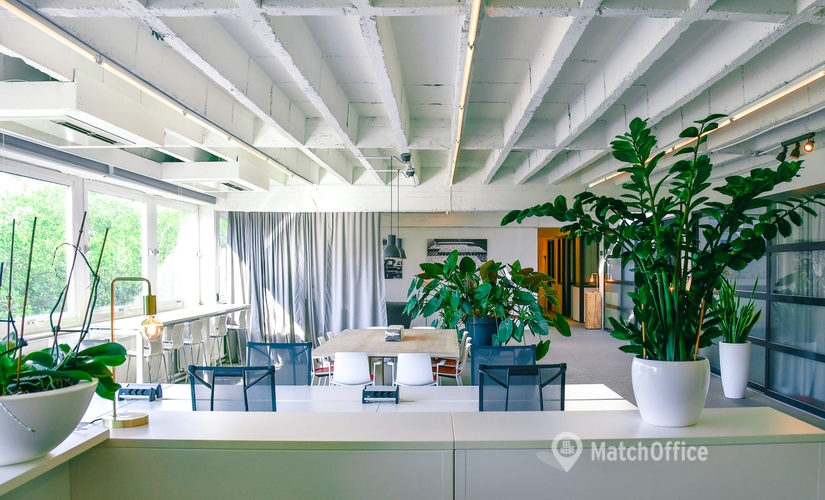 50 m² Shared office in Antwerp, Oude Leeuwenrui 39/V2 (2000) - 0 | MatchOffice