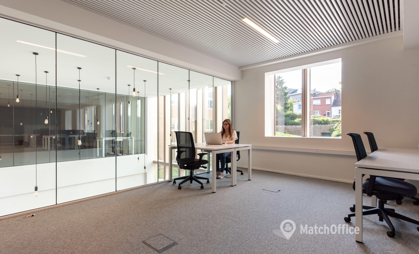 Сentre d'affaires à louer à Auderghem, Auderghem Avenue, 1000 m², - 9 | MatchOffice.be