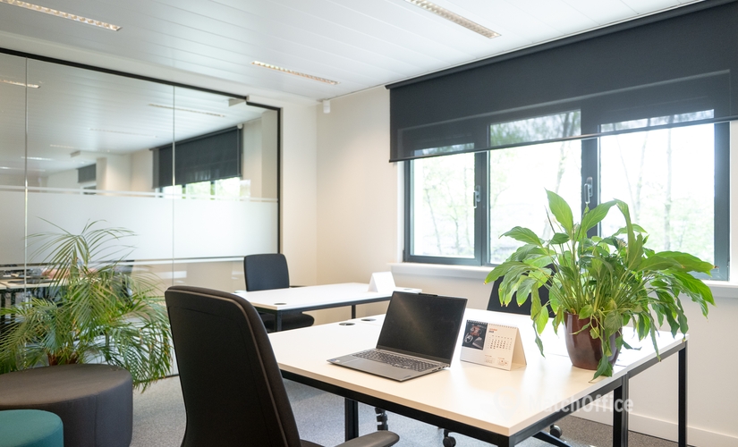 Office Brechtsebaan 30 2900 Antwerp