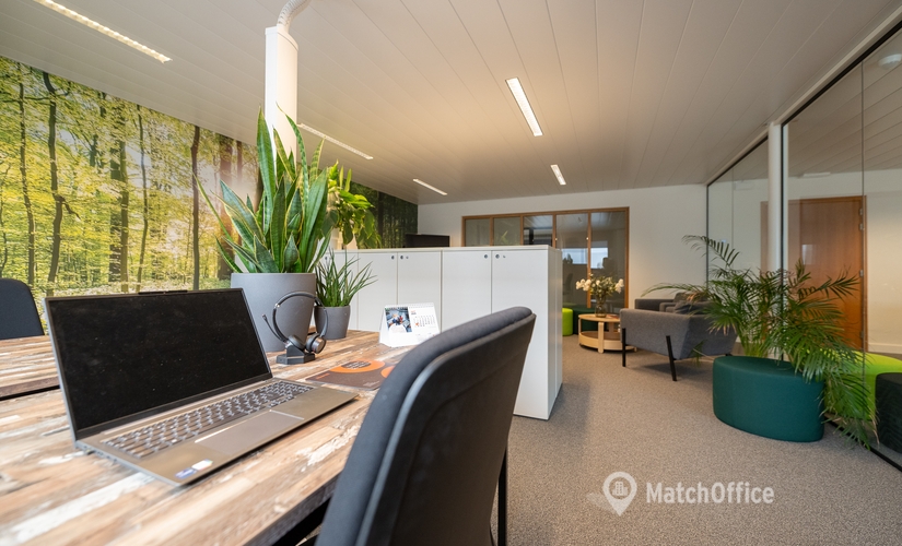 Office Brechtsebaan 30 2900 Antwerp