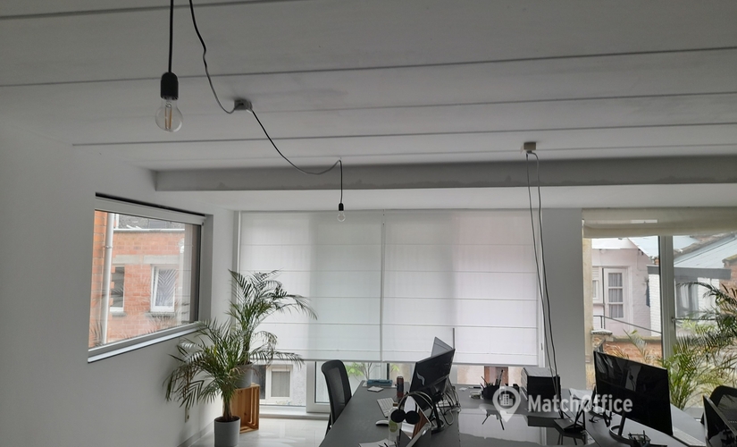 Office Nielsestraat 41 2850 Antwerp