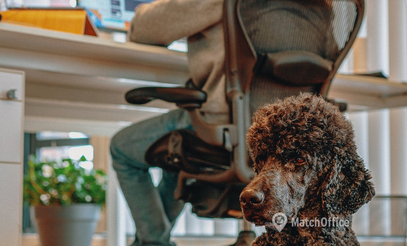 Office Stapelplein 70 9000 Ghent