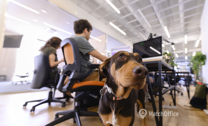 10 m² Shared office  in Sofia, ул. „Шипка“ 6 (1504) - 1 | MatchOffice