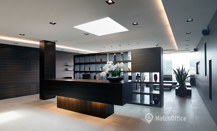 Bürogemeinschaft zu mieten in Zürich Balsberg, 700 m² - 4 | MatchOffice