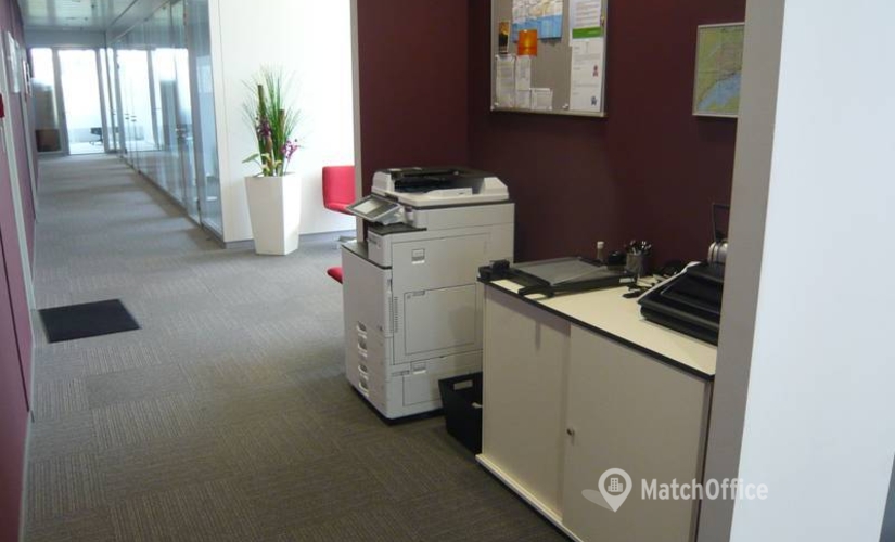 734 m² Shared workspace  in Rolle, Z. A. La Pièce 1 (1180) - 4 | MatchOffice.com