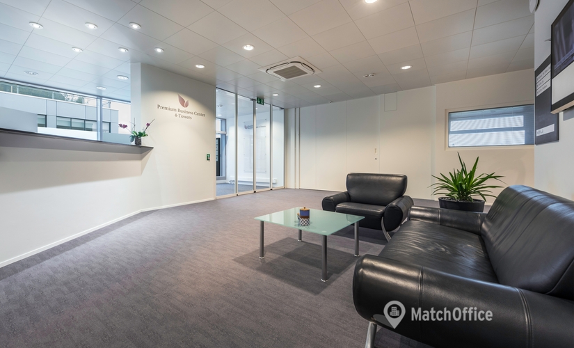 Turmstrasse 18, Virtual Office Steinhausen, 3