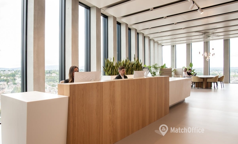 150 m² Shared office  in Basel-Stadt, Grosspeteranlage 29 (4052) - 2 | MatchOffice.com
