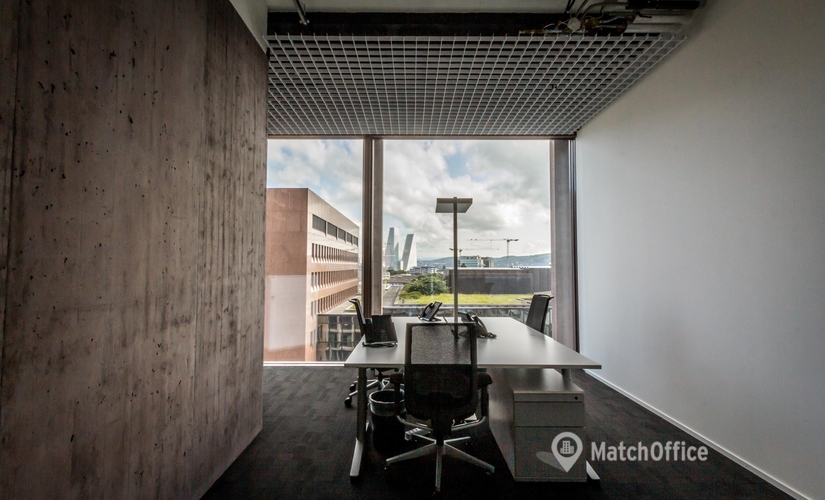 Aeschengraben 29, Business Center Basel-Stadt, 5