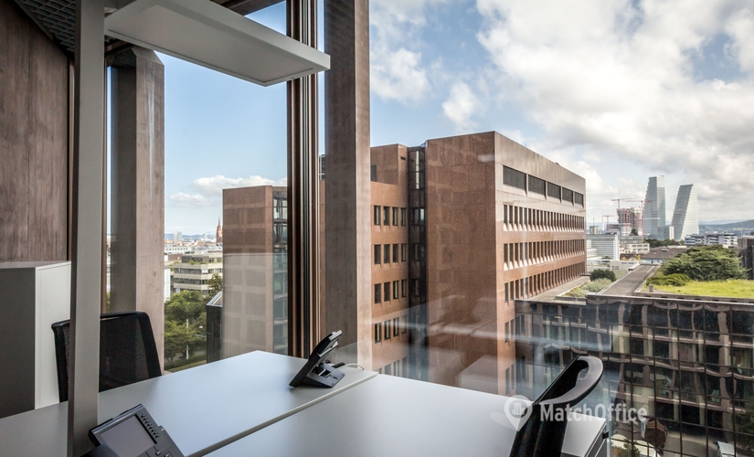 Aeschengraben 29, Business Center Basel-Stadt, 6
