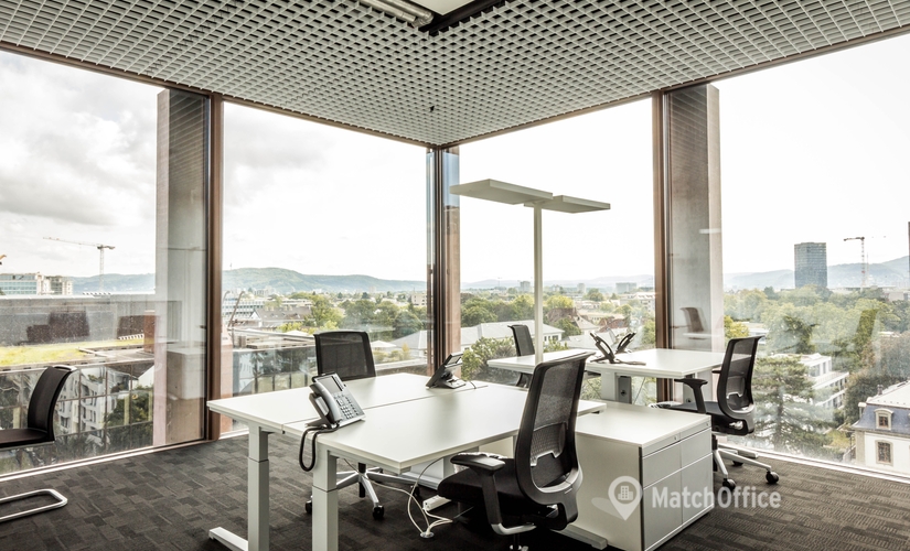 Aeschengraben 29, Business Center Basel-Stadt, 7