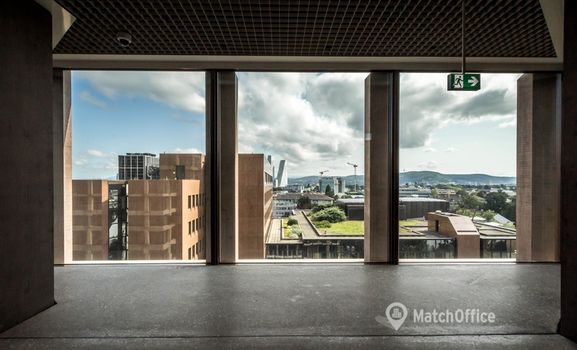 Aeschengraben 29, Business Center Basel-Stadt, 8