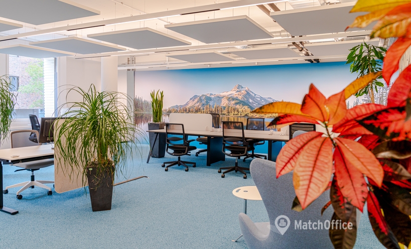 Platz 4, Root D4, coworking Lucerne, 3