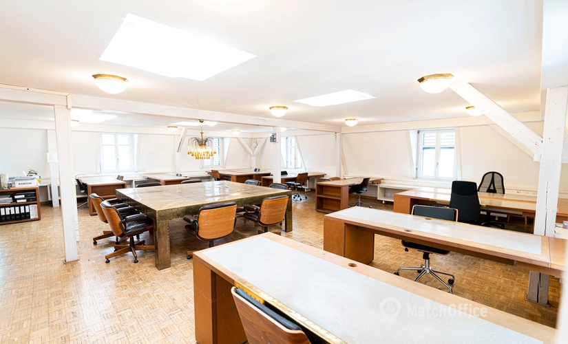 Coworking Space zu vermieten in Zürich, Dufourstrasse 185A, 160 m², 0 | MatchOffice.ch