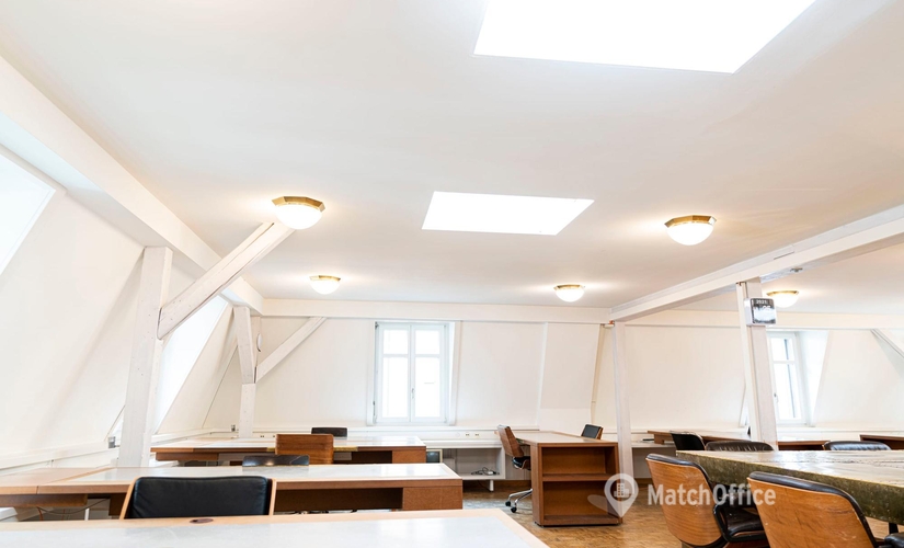 Coworking Space  zur Miete in Zürich, Dufourstrasse 185A, 160 m², 2 | MatchOffice.ch