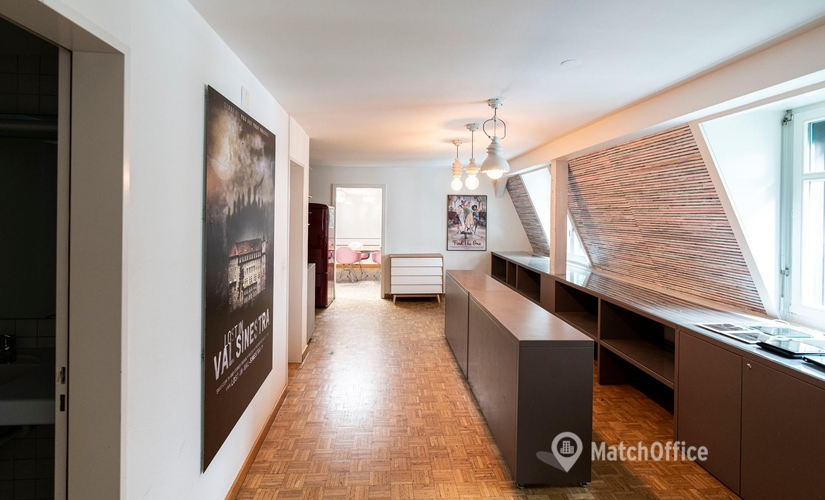 Coworking Space zu vermieten in Zürich, Dufourstrasse 185A, 160 m², 4 | MatchOffice.ch