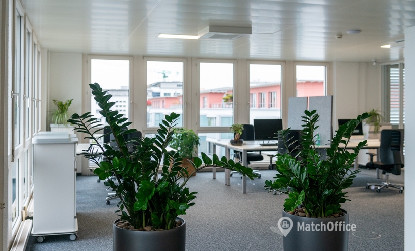 Business Center zu vermieten in Rotkreuz, Grundstrasse 12, 5 m², 3 | MatchOffice.ch