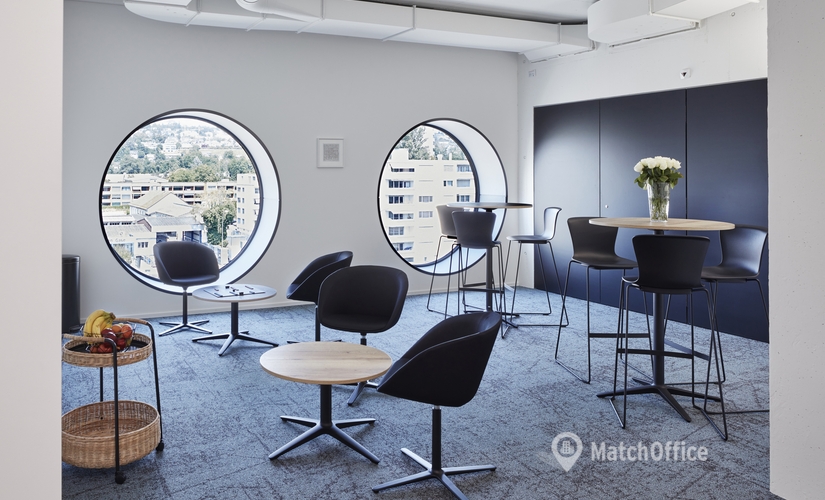 Vulkanstrasse 130b, Business Center Zürich, 1