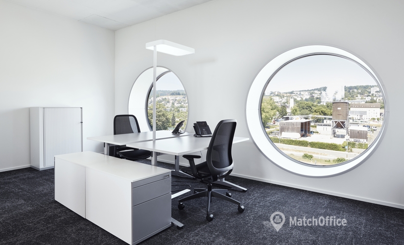 Vulkanstrasse 130b, Business Center Zürich, 3
