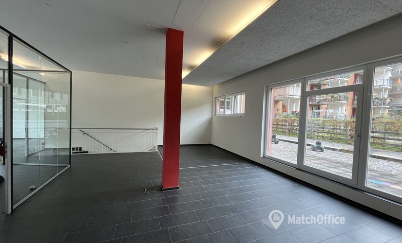 Hardstrasse 100, Business center Zürich, 2