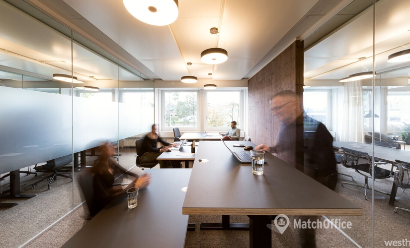 Seestrasse 353, Coworking Space Zürich, 3