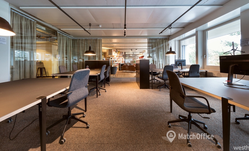 Seestrasse 353, Coworking Space Zürich, 2