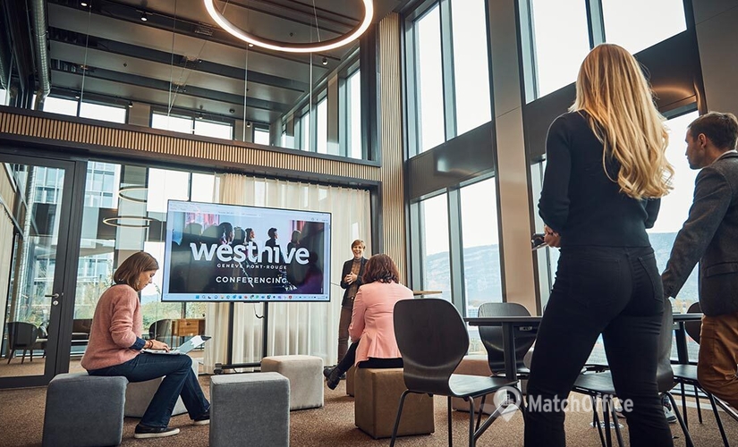 Esplanade de Pont-Rouge 9A, Coworking Lancy, 3