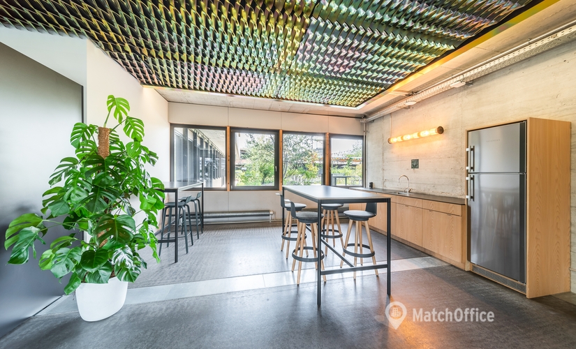 Binzmühlestrasse 170 D, coworking Zurich Oerlikon, 1