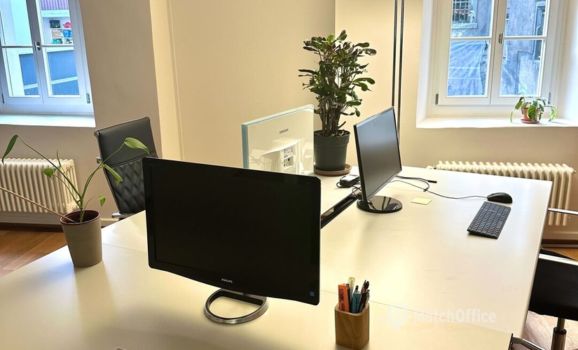 Büro Hans-Holbein-Gasse 3 6004 Luzern