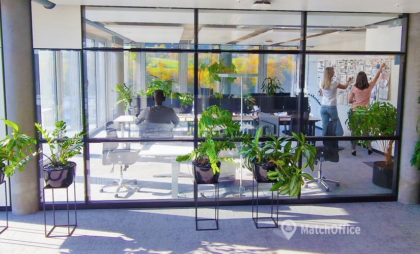 Maneggstrasse 17, coworking Zurich Wollishofen