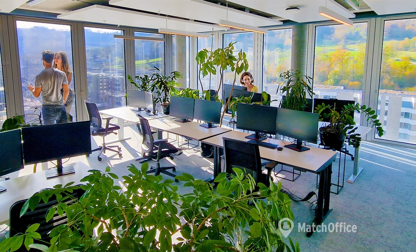 Maneggstrasse 17, coworking Zurich Wollishofen