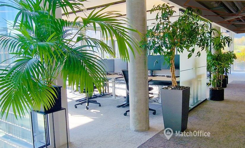 Maneggstrasse 17, coworking Zurich Wollishofen