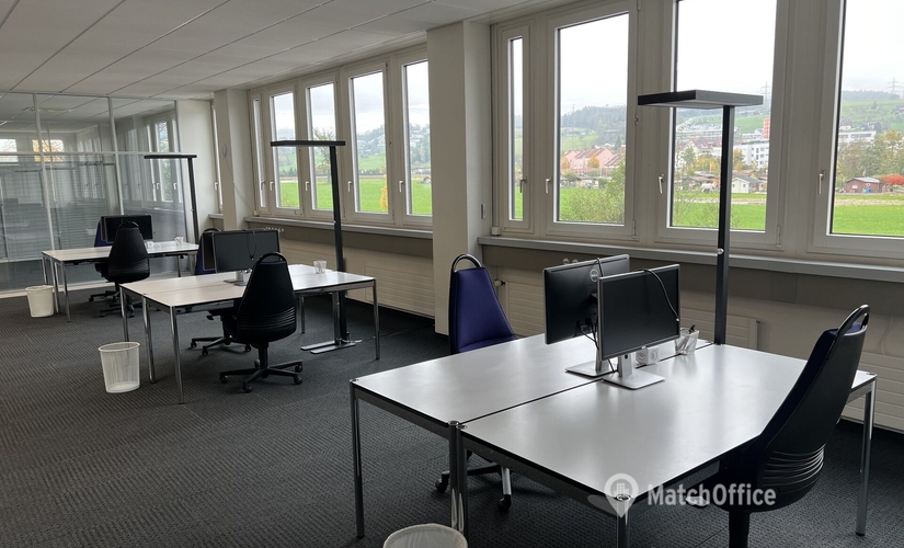 Grienbachstrasse 17, coworking Zug