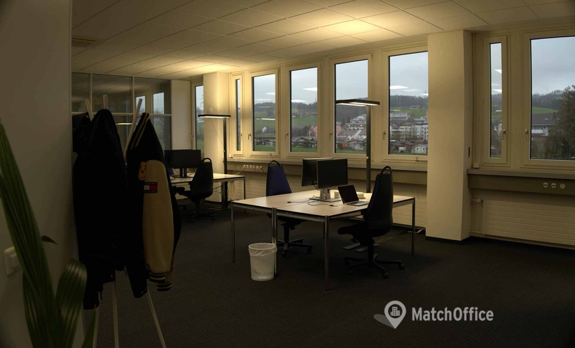 Grienbachstrasse 17, Coworking Space Zug