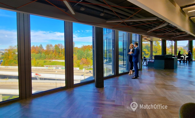 Bureau Maneggstrasse 17 8041 Zurich Wollishofen