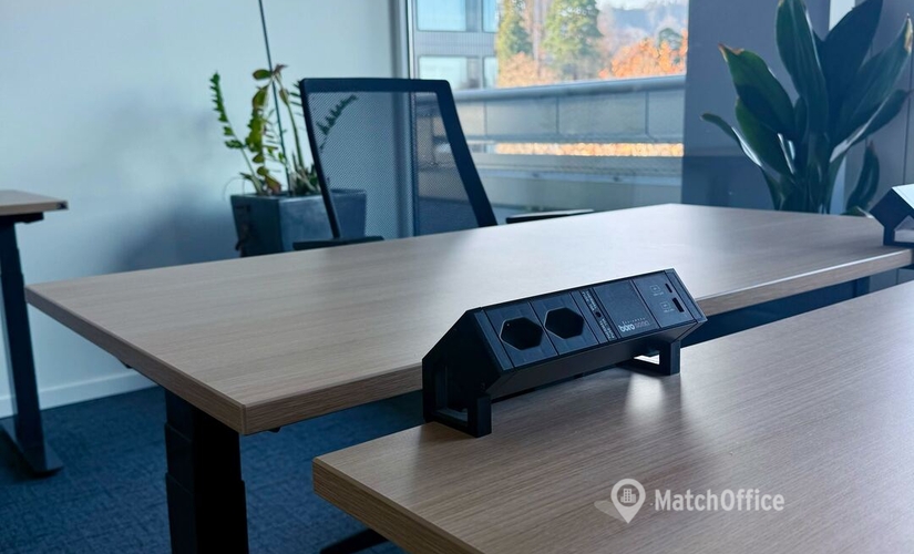 Bureau Tessinerplatz 7 8002 Zurich Enge